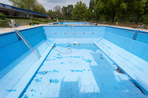 Best Water damage cleanup near me  in Lyford, TX