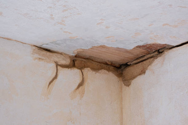 Best Water damage restoration mold remediation  in Lyford, TX