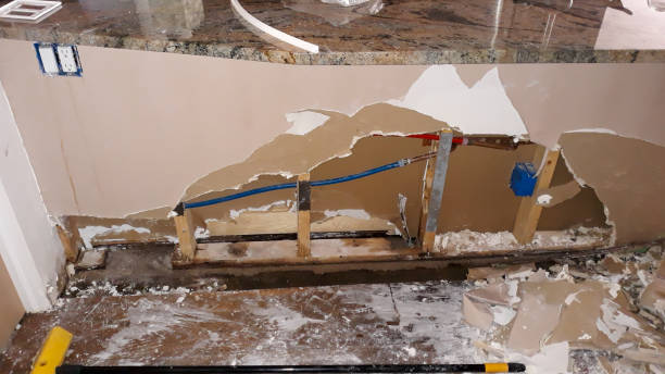 Best Residential water damage restoration  in Lyford, TX