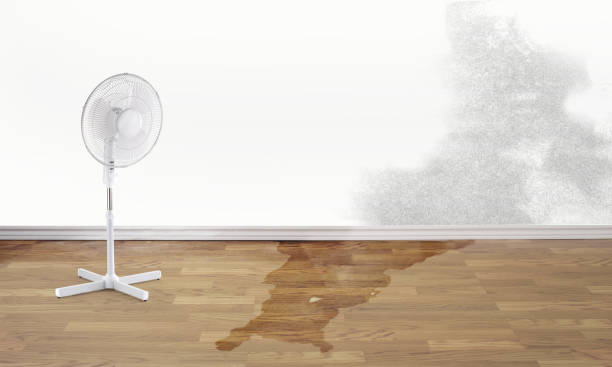 Best Fire Damage Restoration  in Lyford, TX