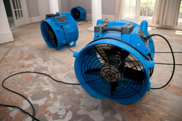 Best Sewage cleanup and water damage restoration  in Lyford, TX