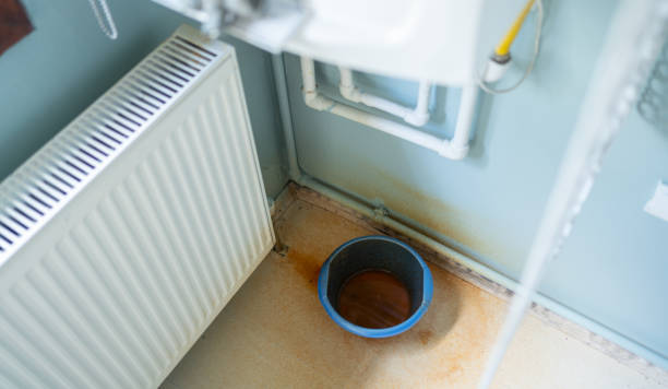 Best Water damage restoration near me  in Lyford, TX