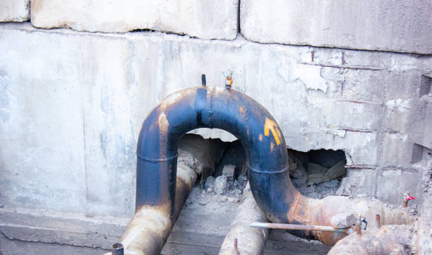 Best 24/7 water damage repair  in Lyford, TX